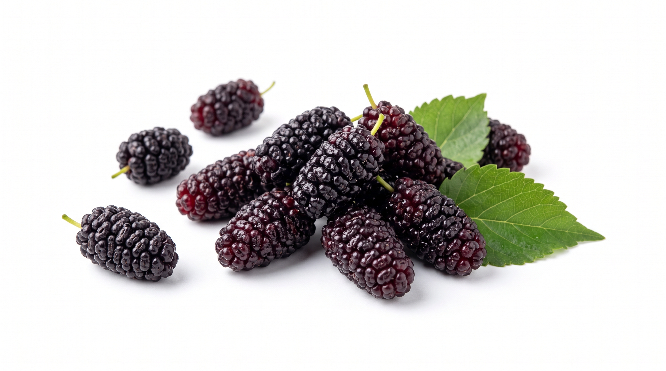 Mulberry
