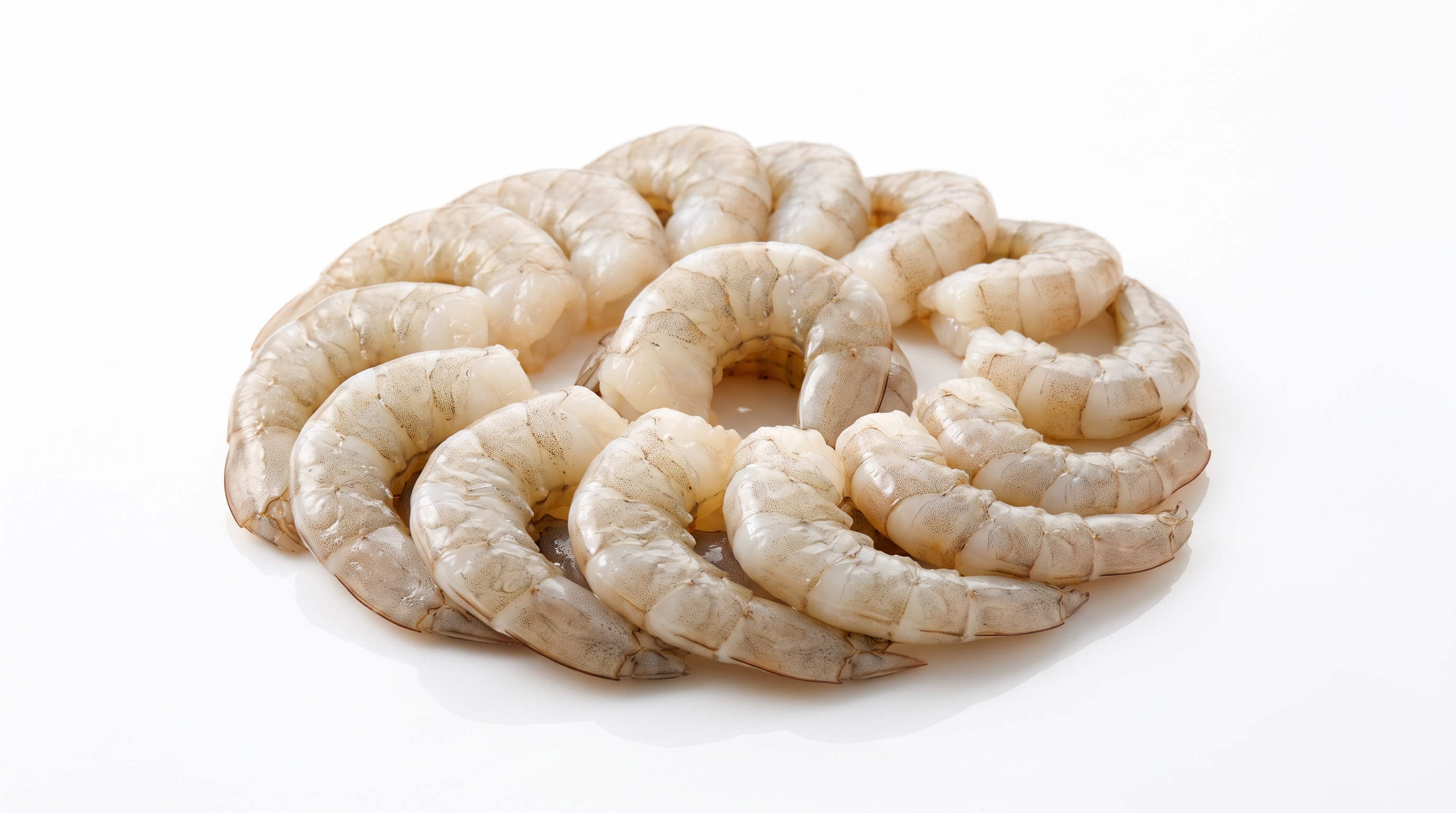 Shrimp, Medium