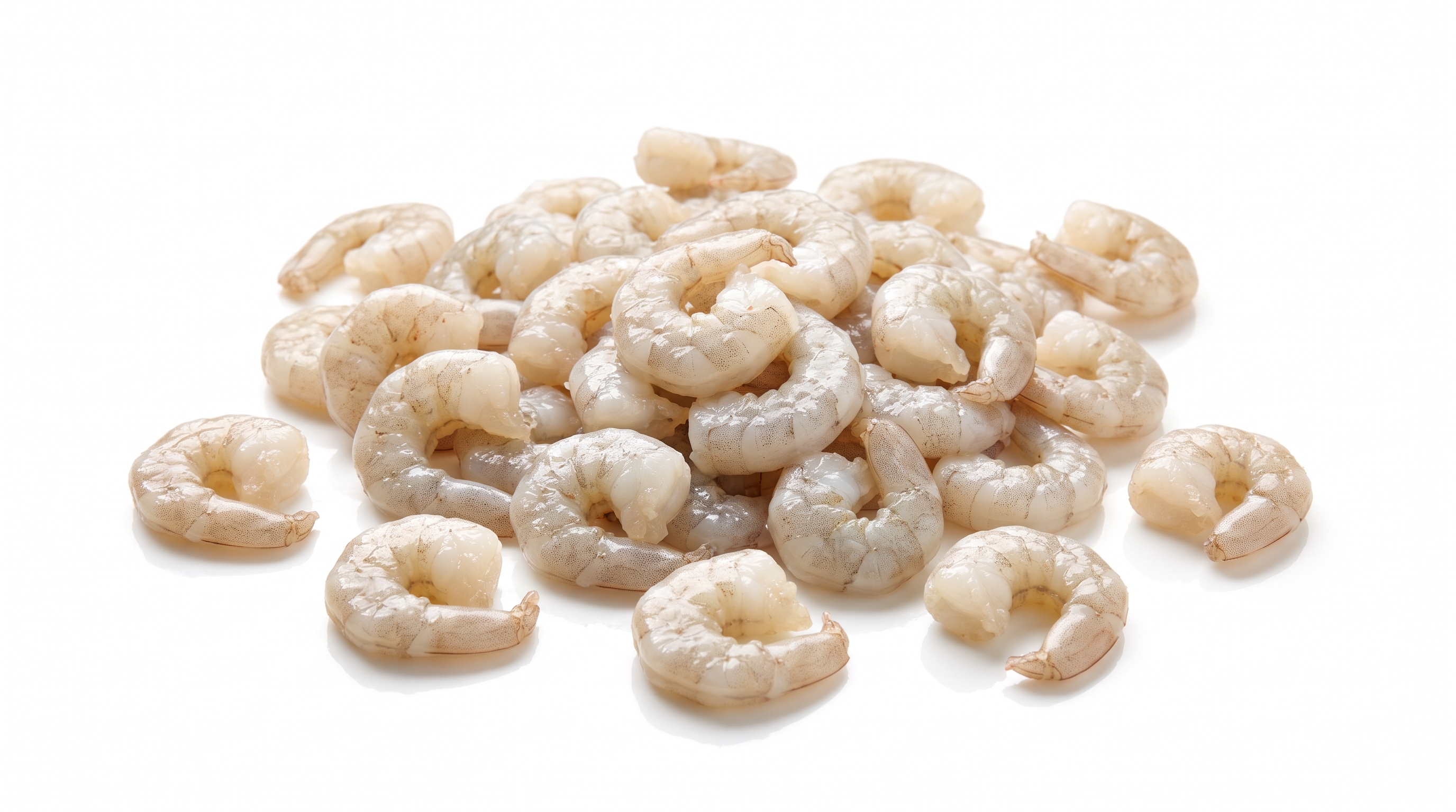 Shrimp, Small